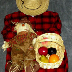 Farmer Costume